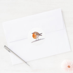 English Robin Watercolour Classic Round Sticker