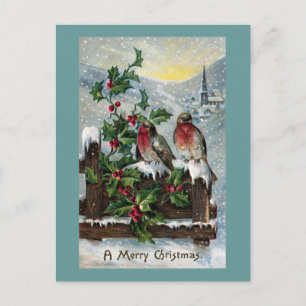 English Robins on a Fence Antique Christmas Holiday Postcard