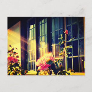 English Rose Postcard