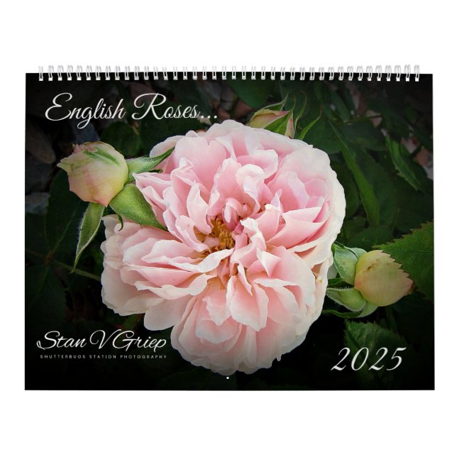 English Roses 2025 Large Wall Calendar By Stan (Cover)