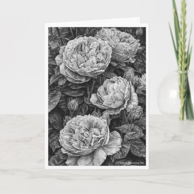 English Roses Pen and Ink Drawing Card (Front)