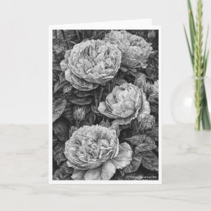 English Roses Pen and Ink Drawing Card