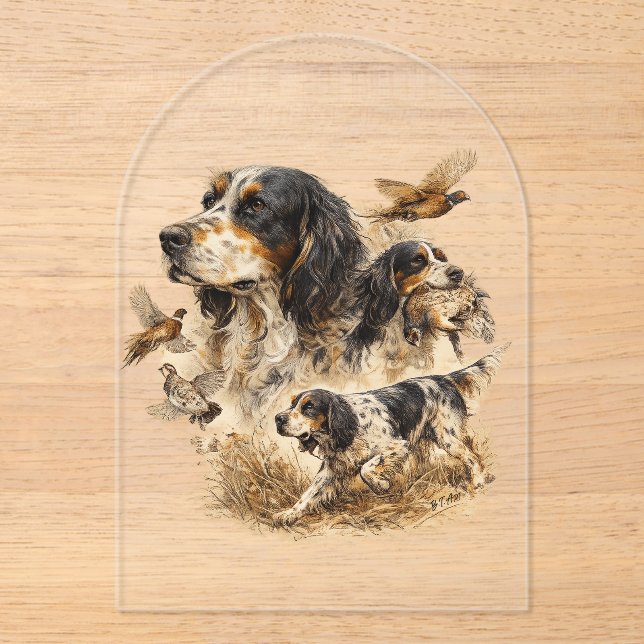 English Setter  Acrylic Invitations (Front)
