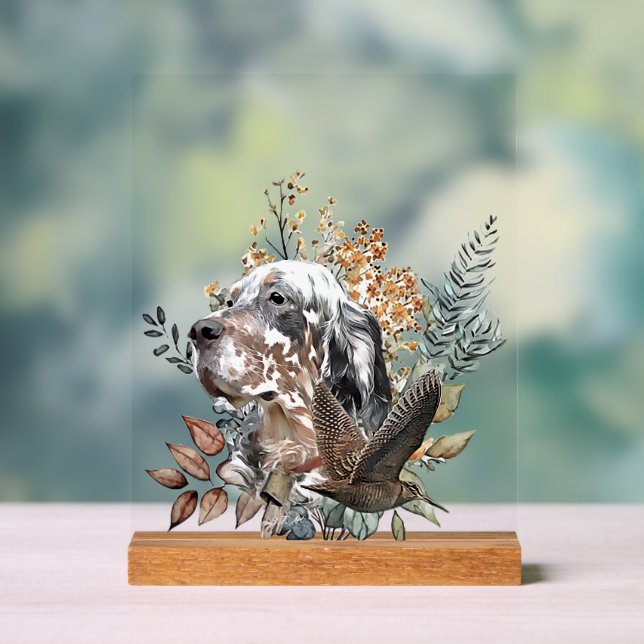 English Setter  Acrylic Sign (Neutral)