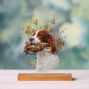 English Setter  Acrylic Sign
