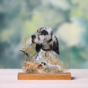 English Setter  Acrylic Sign