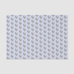English Setter Blue Belton Painting Dog Art Tissue Paper