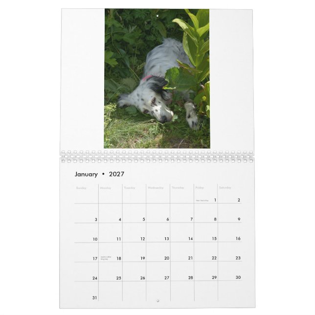 english setter Calendar (Jan 2027)