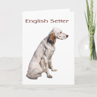 English Setter Card