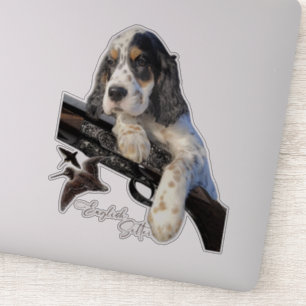 English Setter, cute puppy  