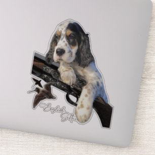 English Setter, cute puppy 