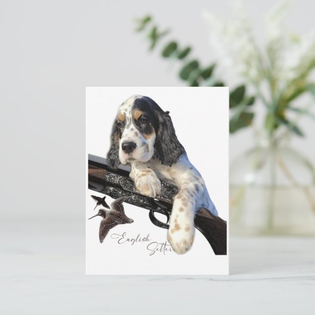 English Setter, cute puppy   Postcard (Standing Front)