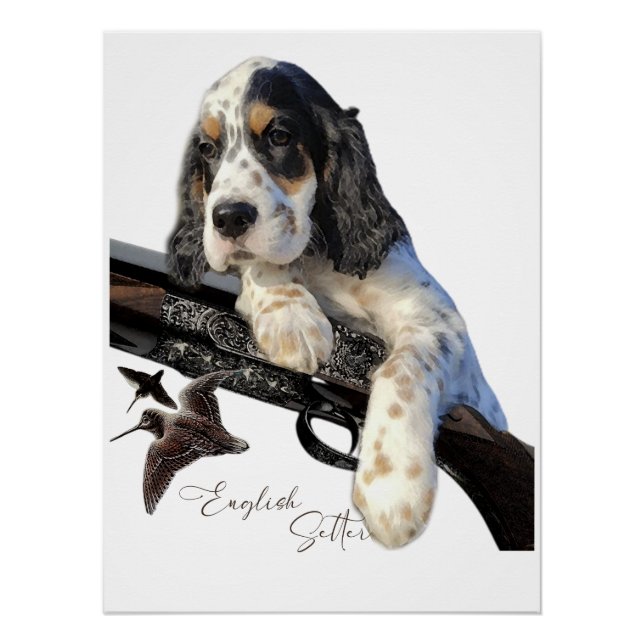 English Setter, cute puppy  Poster (Front)