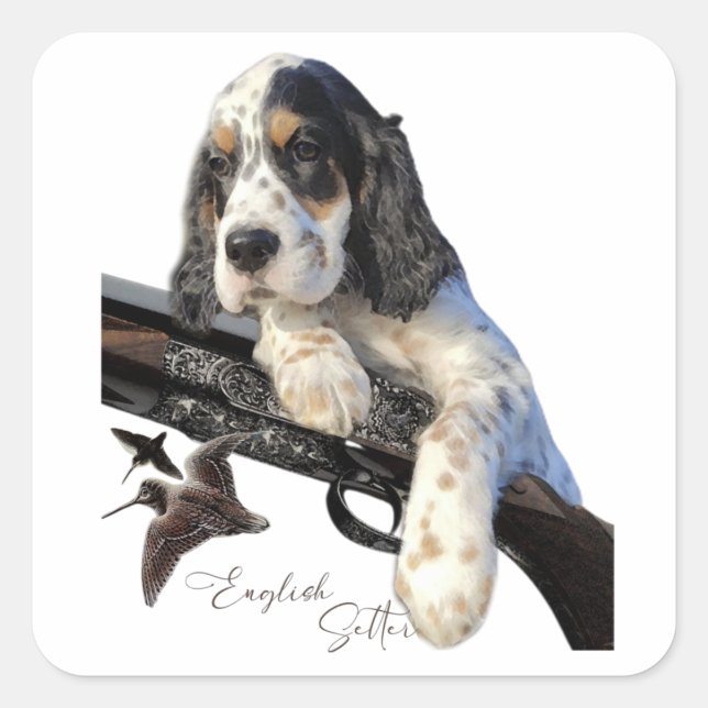 English Setter, cute puppy Square Sticker (Front)