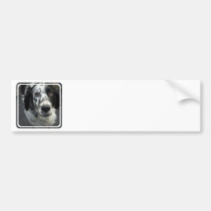English Setter Dog Bumper Stickers