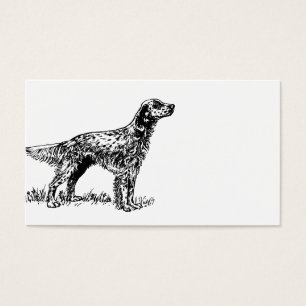 english setter drawing.png