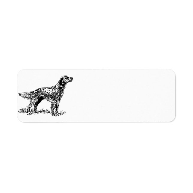 english setter drawing.png return address label (Front)