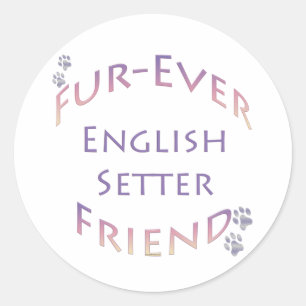 English Setter Furever Classic Round Sticker
