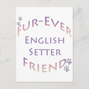 English Setter Furever Postcard