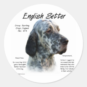 English Setter History Design Classic Round Sticker