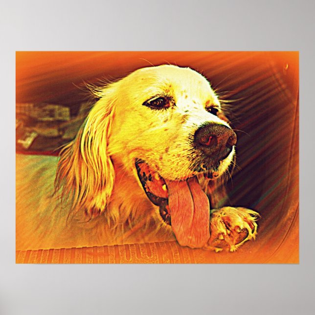 English Setter Hunting Dog Poster (Front)