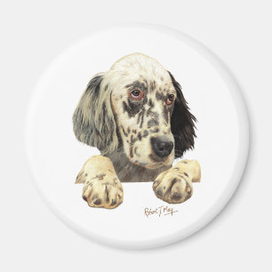 English Setter Magnet