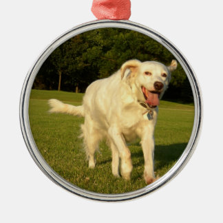 English Setter Metal Ornament