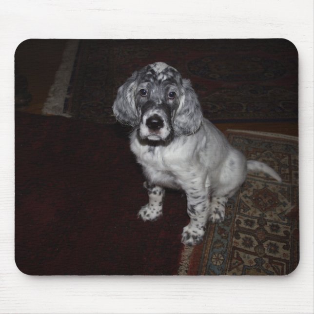 English Setter Mouse Pad (Front)