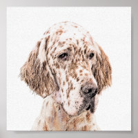 English Setter Orange Belton Painting Dog Art