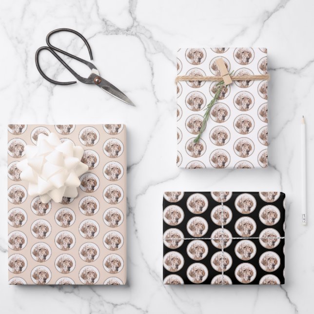 English Setter Orange Belton Painting Dog Art Wrapping Paper Sheet (Front)