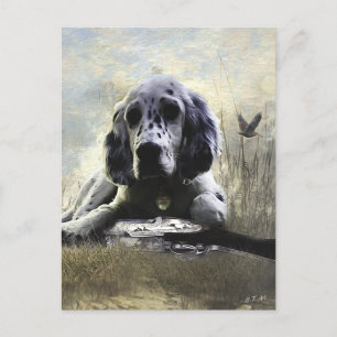 English Setter Postcard