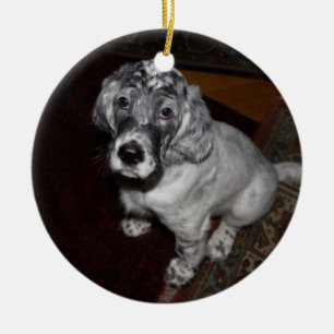 English Setter Puppy Ceramic Ornament
