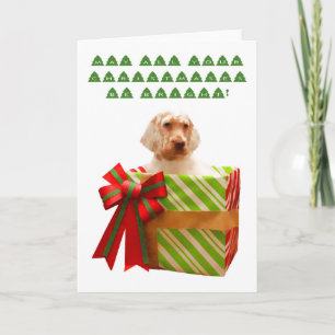 English Setter Puppy Christmas Card