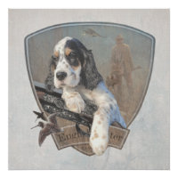 English Setter puppy with a classic shotgun