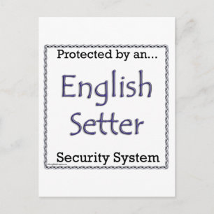 English Setter Security System Postcard