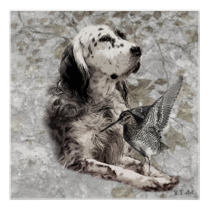 English Setter Tapestry Poster