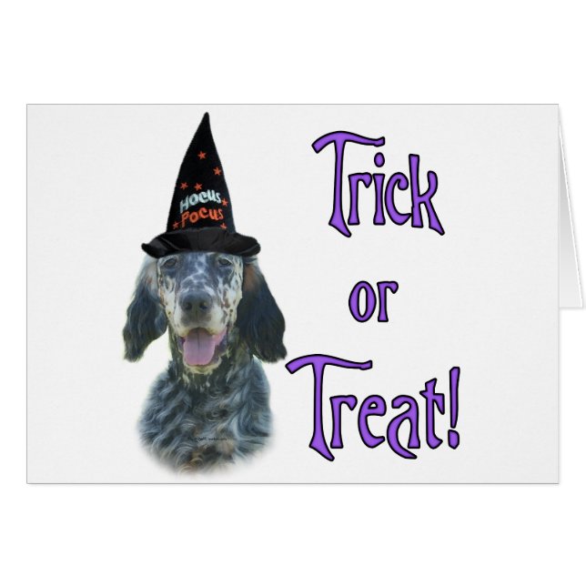 English Setter Trick (Front Horizontal)