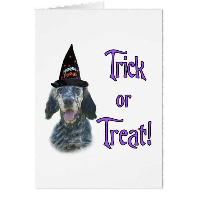 English Setter Trick (Front)