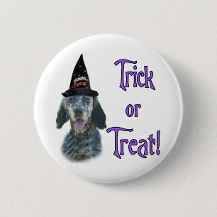 English Setter Trick 6 Cm Round Badge