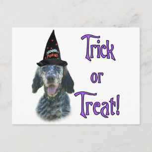 English Setter Trick Postcard