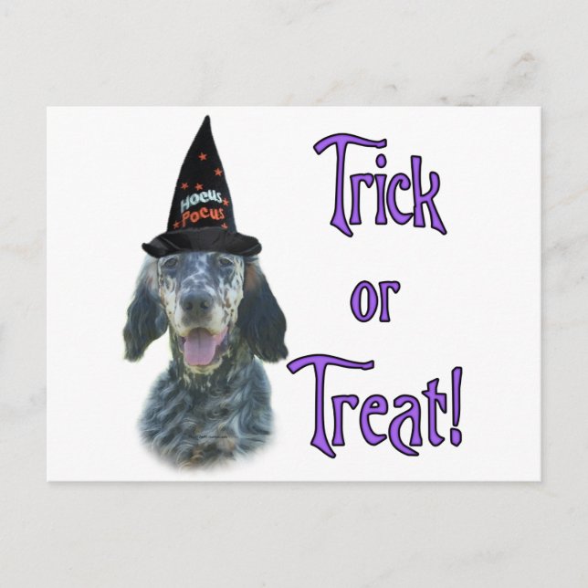 English Setter Trick Postcard (Front)