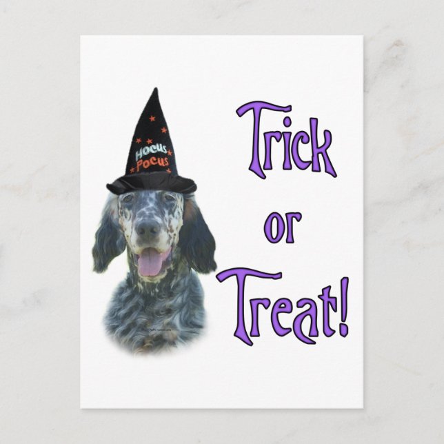 English Setter Trick Postcard (Front)