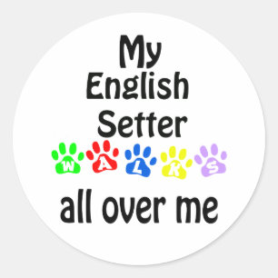 English Setter Walks Design Classic Round Sticker