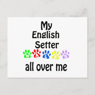 English Setter Walks Design Postcard