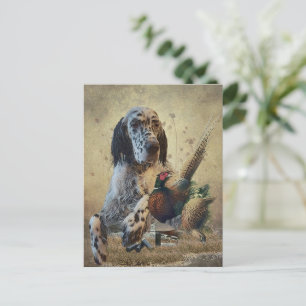 English setter with pheasants, art     holiday postcard
