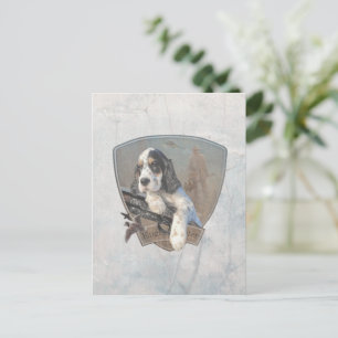 English setter with pheasants, art     postcard