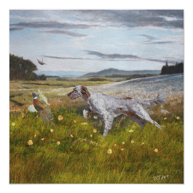 English setter with pheasants, art   poster (Front)