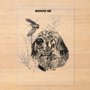 English Setter , Woodcock hunting Acrylic Invitations