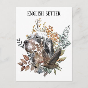 English setter , Woodcock Hunting , Art Postcard