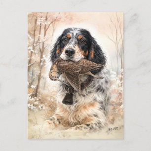 English Setter, Woodcock Hunting ,Dog Art Postcard